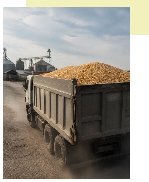 Перевозка сельхозпродукции навалом в Алексеевку по цене от 3037 р. | Агросервис-Лкв